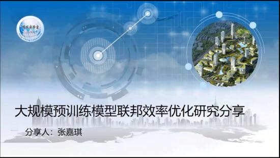 大規模預訓練模型聯邦效率優化